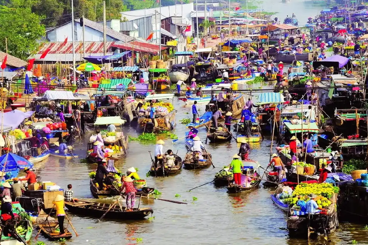Best Time to Visit Vietnam