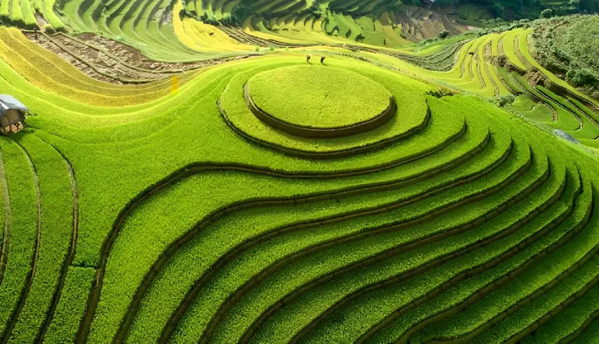 Top Vietnam