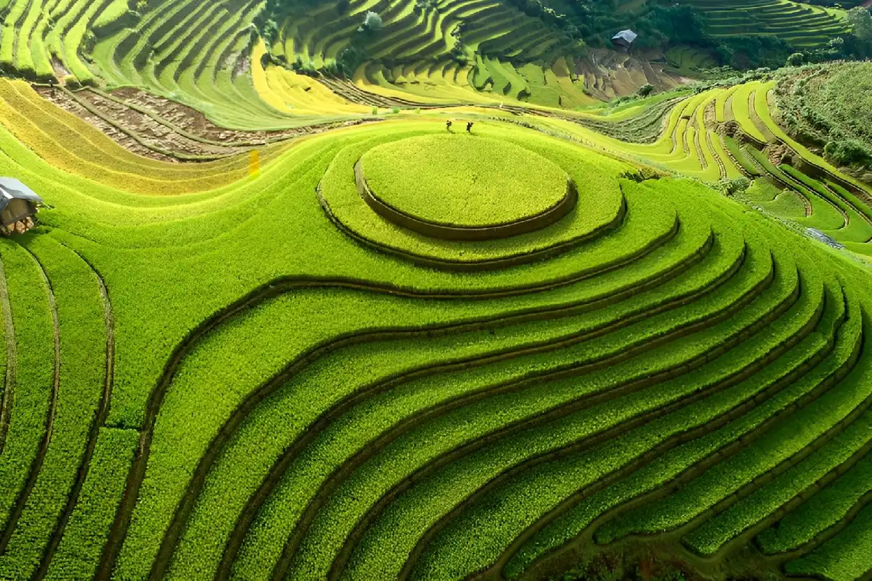 Top Vietnam