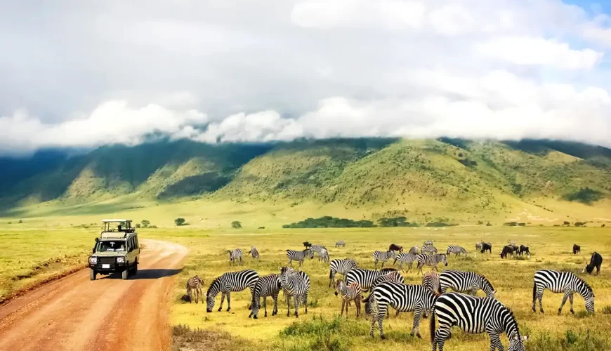 Tour du lịch Tazania tại AB Travel