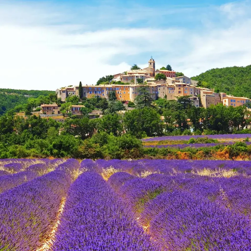 Tour du lịch Pháp tham quan mùa hoa oải hương