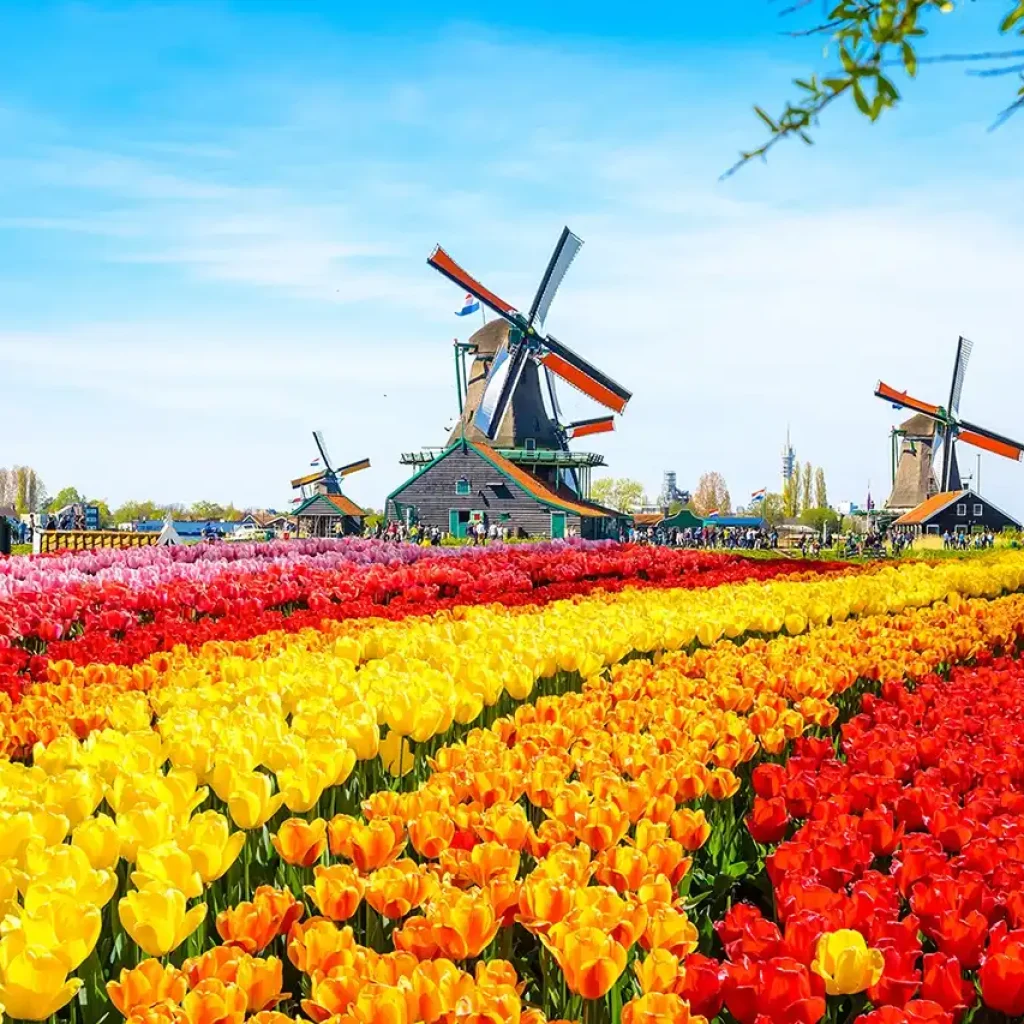 Du lịch Châu Âu tham quan Hà Lan