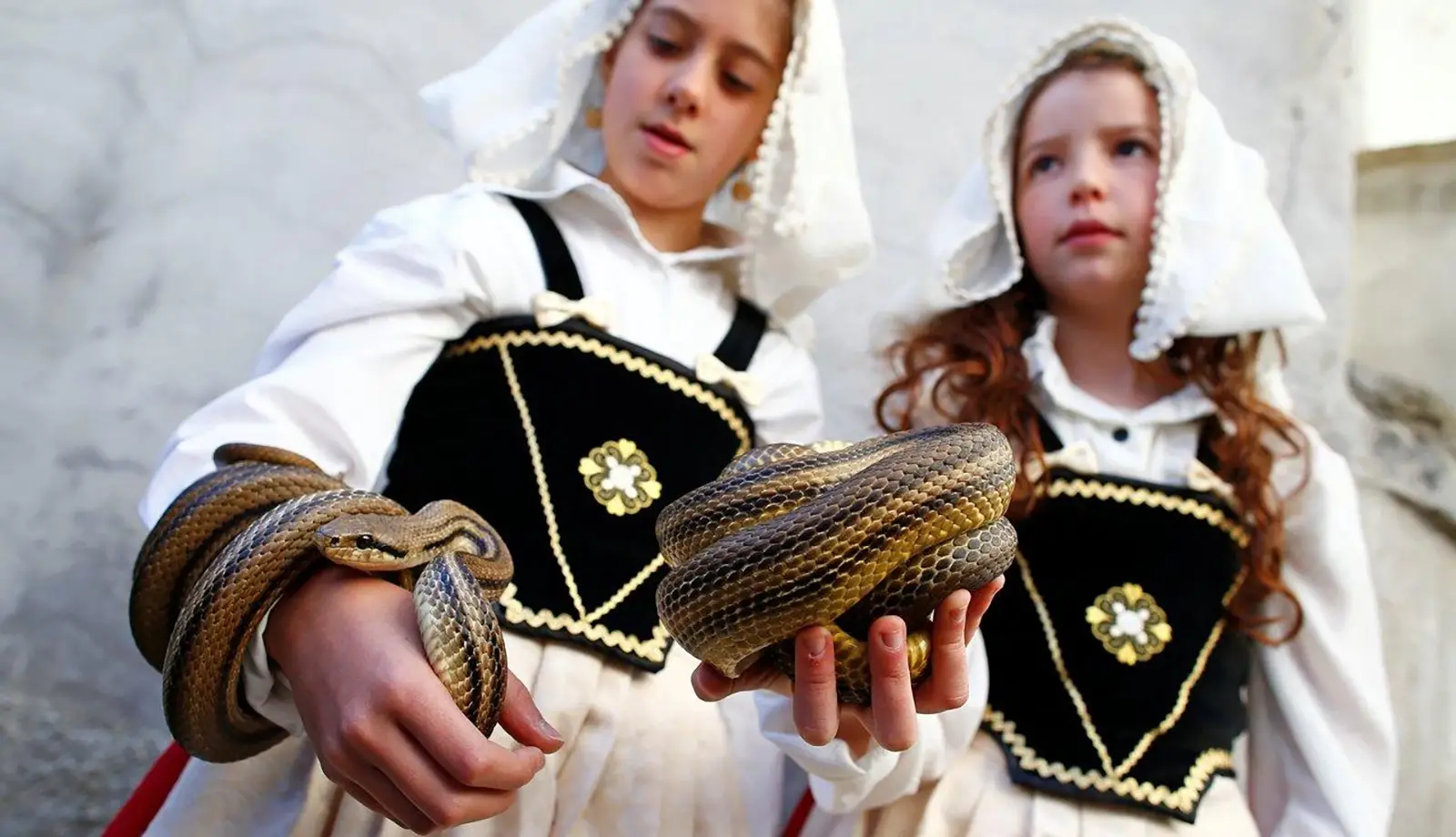 Lễ hội rước rắn ở thị trấn Cocullo