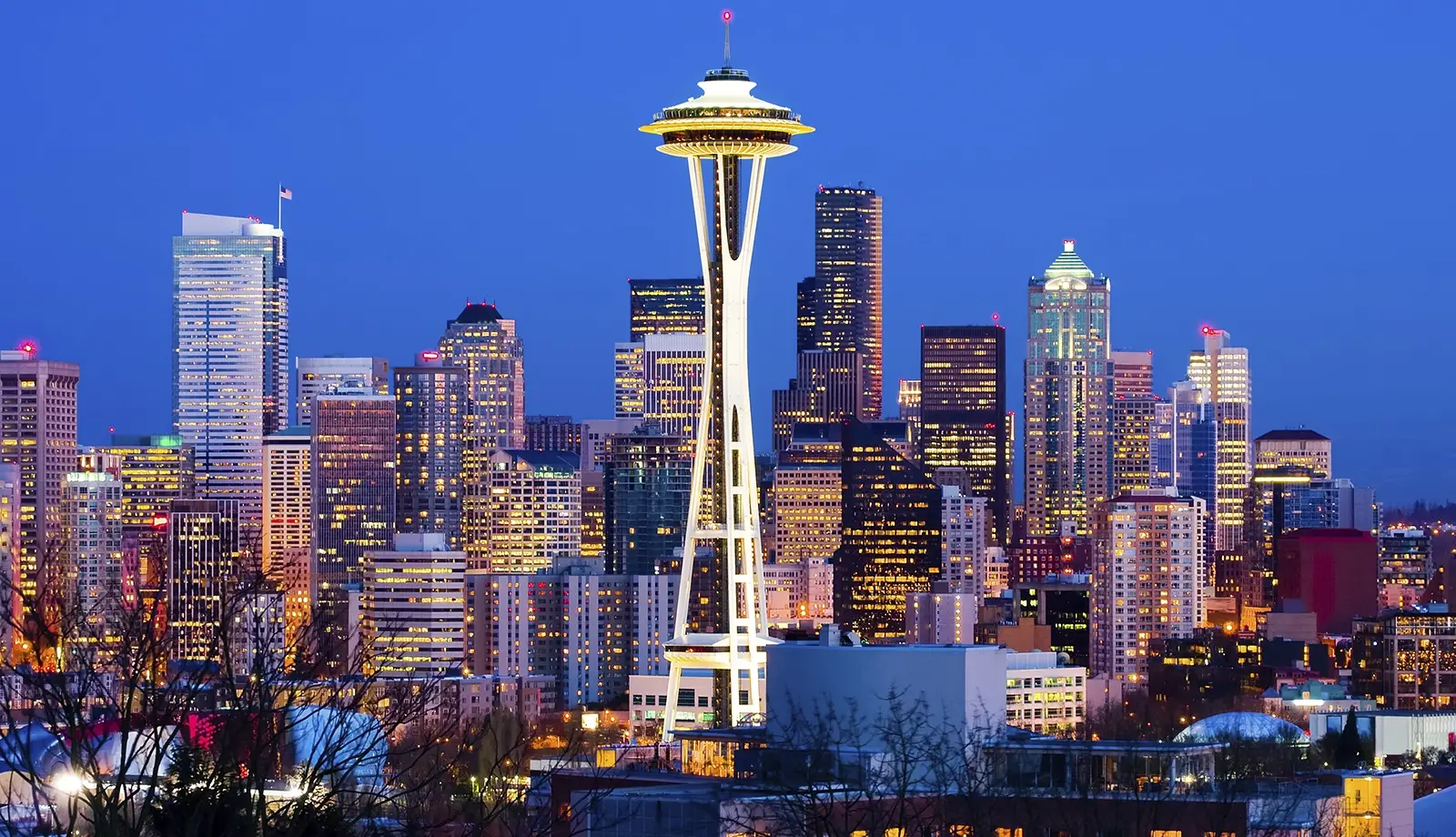 Thành phố Seattle - thành phố Ngọc Lục Bảo với sắc xanh của cây cối 