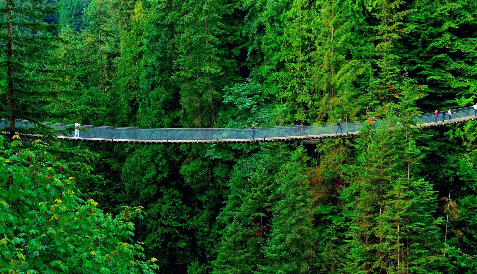 Du lịch Canada phải khám phá Cầu treo Capilano