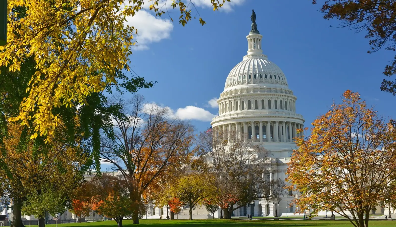 Nên du lịch Washington DC vào mùa xuân và mùa thu để tận hưởng vẻ đẹp nơi đây