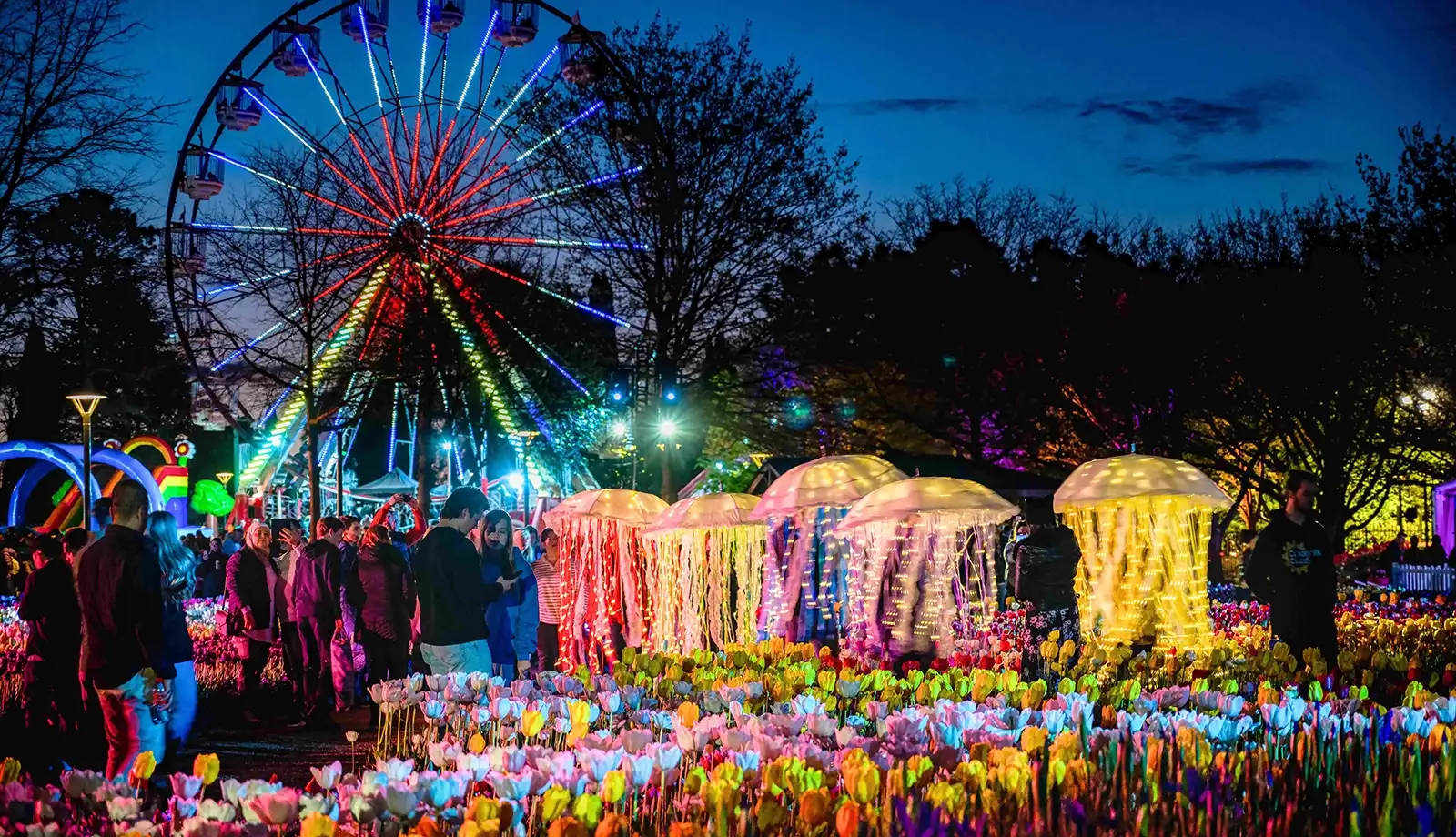 Khám phá lễ hội hoa Foriade lớn nhất Nam bán cầu