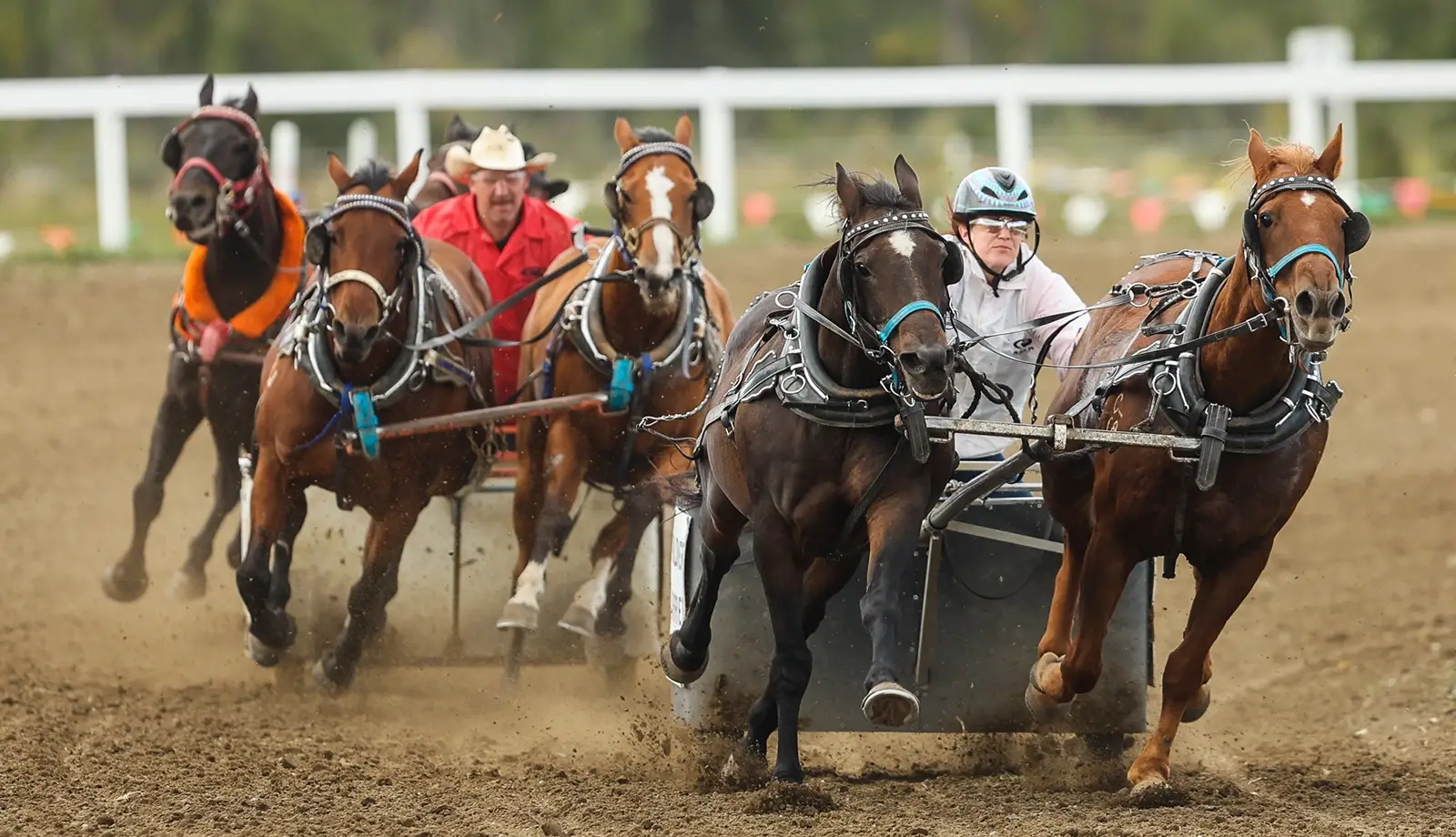 Đua xe ngựa-hoạt động thú vị trong lễ hội cao bồi