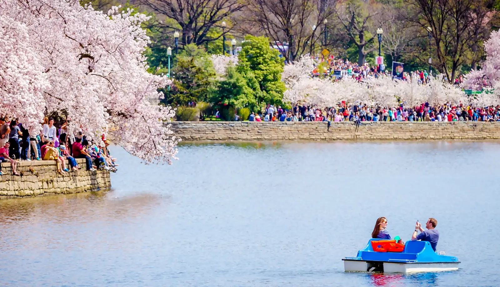 Trải nghiệm đi dạo và chụp hình kỷ niệm dưới các tán hoa anh đào