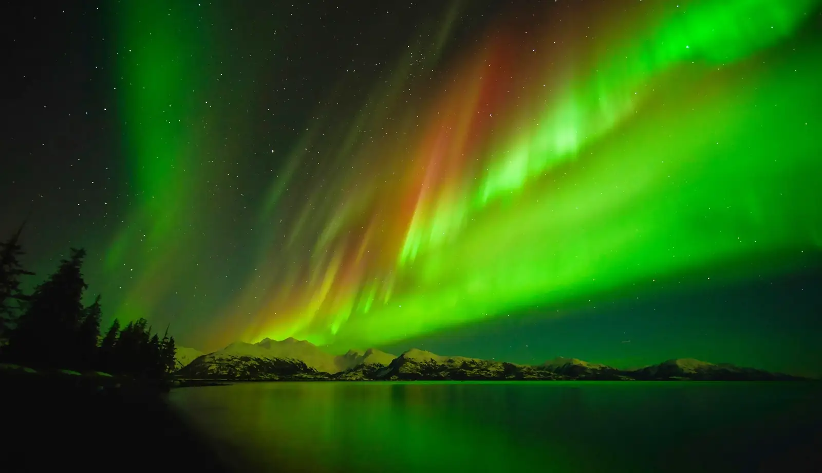 Vùng cực quang nhiều màu sắc ở Fairbanks