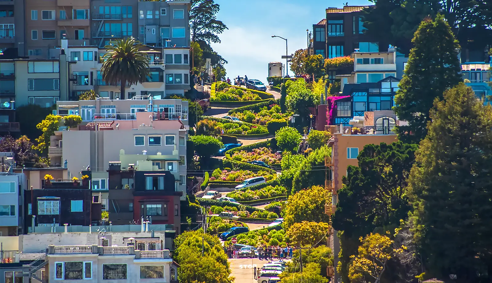 Lombard Street nổi tiếng với những bồn hoa rực rỡ