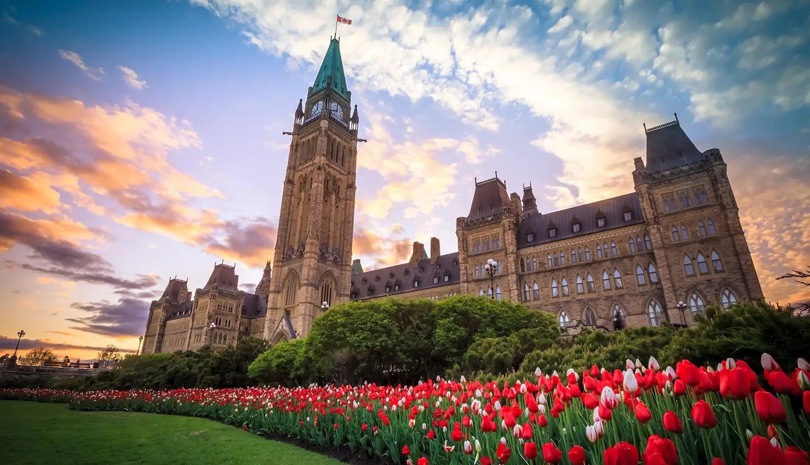 Lễ hội hoa Tulip Ottawa nổi tiếng