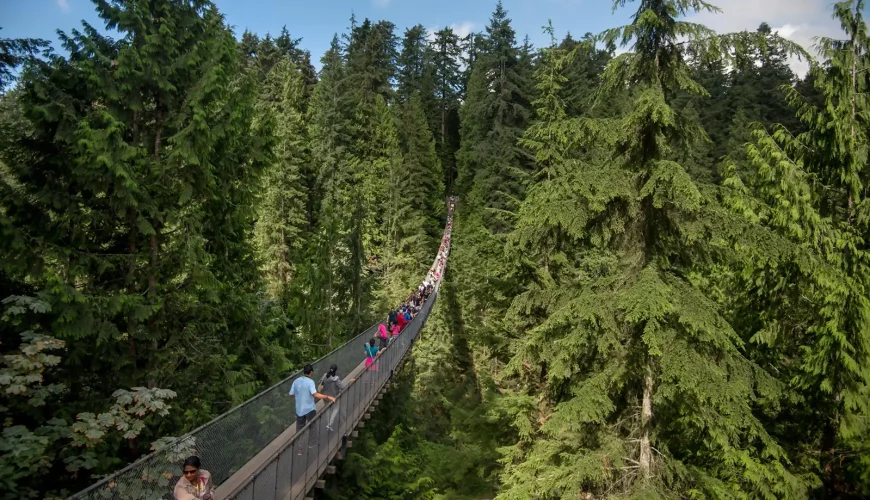 Cầu treo Capilano - Phiêu lưu trên biểu tượng của Vancouver