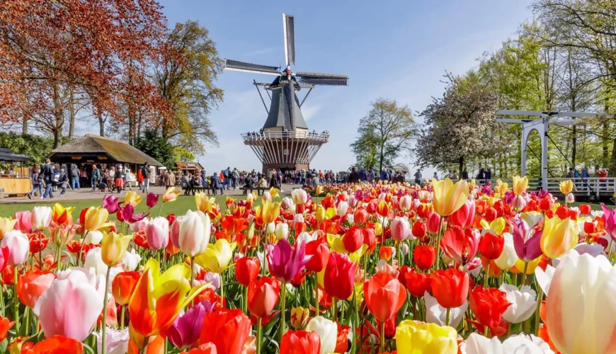 Lễ hội hoa Keukenhof - Tận hưởng vườn hoa bất tận đẹp như cổ tích