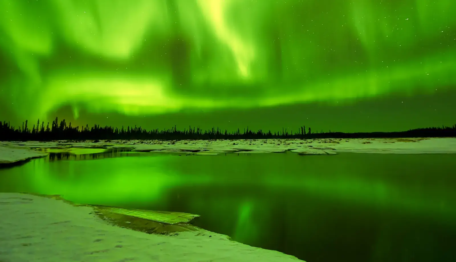Ngắm cực quang ở Fairbanks - Trải nghiệm kỳ diệu của ánh sáng trên bầu trời đêm