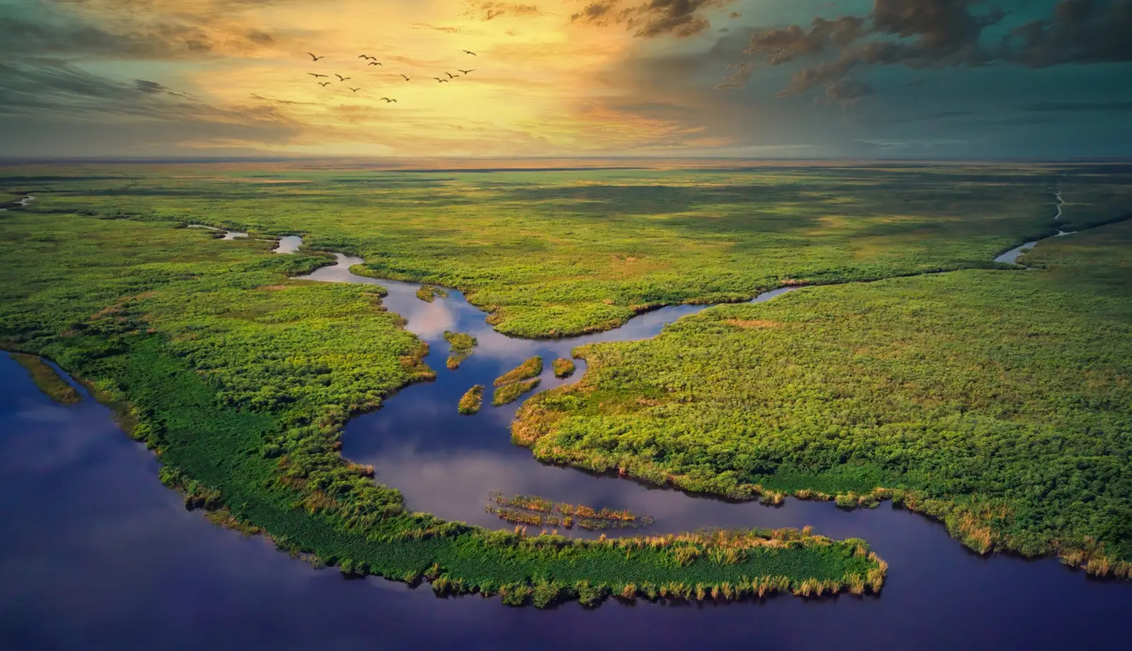 Vườn quốc gia Everglades - Hành trình khám phá vùng đất hoang dã