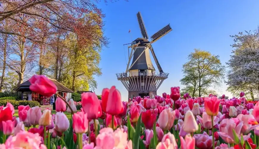 Top điểm tham quan khi tham gia lễ hội hoa Keukenhof ở Hà Lan