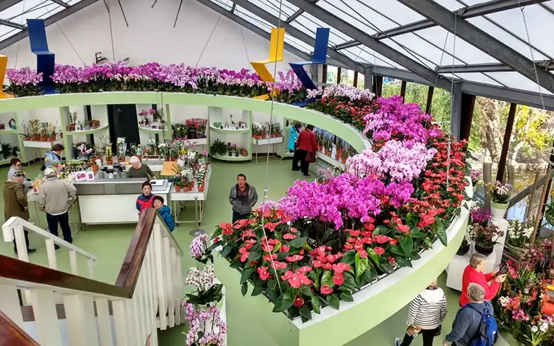 Tham quan khu vực Beatrix - Lễ hội Keukenhof - Hà Lan