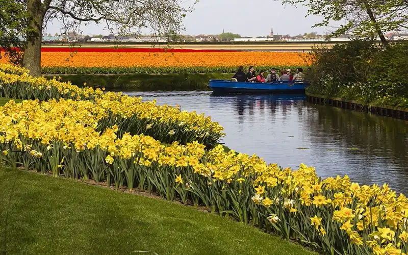 Trải nghiệm di thuyền tại lễ hội Keukenhof - Hà Lan