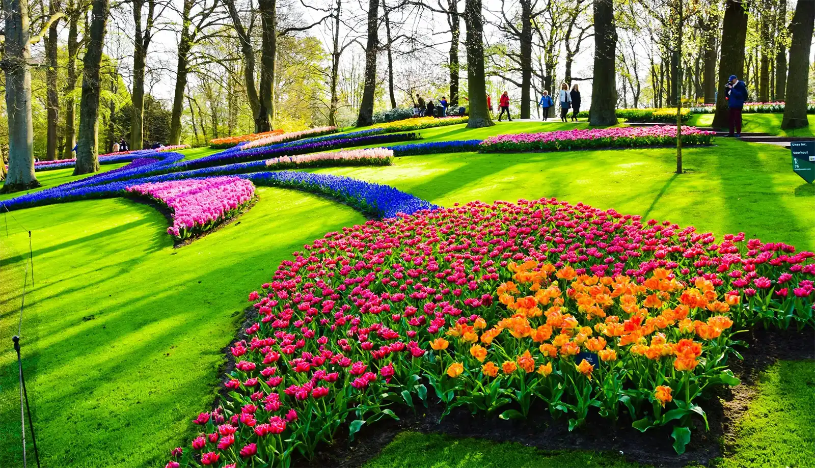 Du lịch Pháp – Bỉ – Hà Lan – Đức (lễ hội hoa Keukenhof)