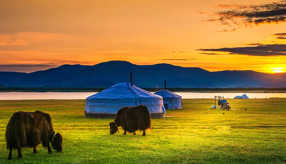 Người dân Mông Cổ thường sống trong các nhà lều di động