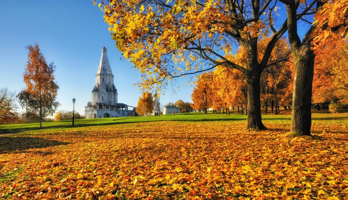 Khung cảnh mùa thu yên bình tại vùng đất thủ đô Moscow