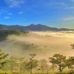 Bật mí TOP 5 địa điểm du lịch hot nhất Đà Lạt 2025