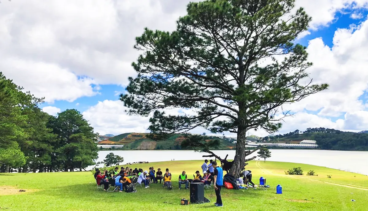 Cây Thông Cô Đơn Đà Lạt - Vẻ Đẹp Yên Bình Giữa Mây Núi