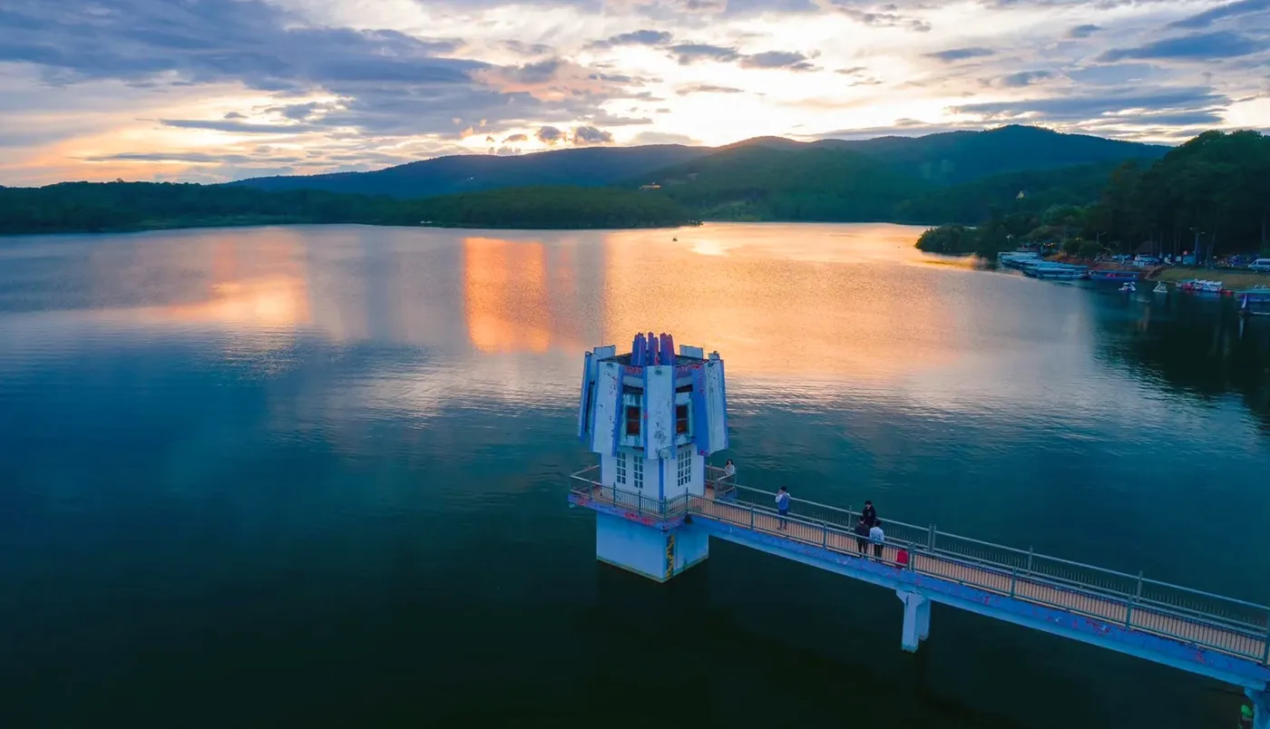 Cây Thông Cô Đơn Đà Lạt - Vẻ Đẹp Yên Bình Giữa Mây Núi