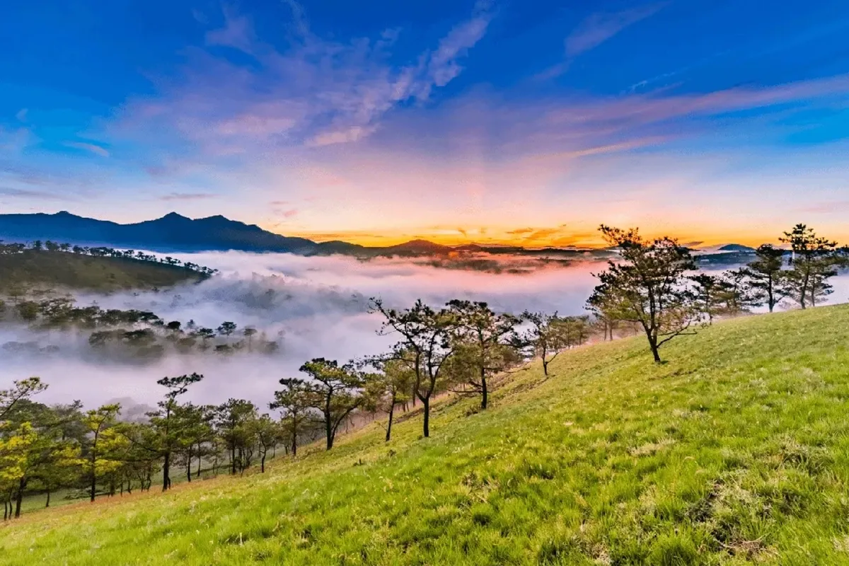 Nên đi du lịch Đà Lạt khi nào?