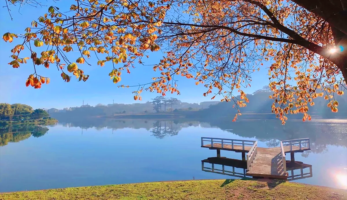 Ngắm cảnh và chụp hình check-in Hồ Xuân Hương - Đà Lạt