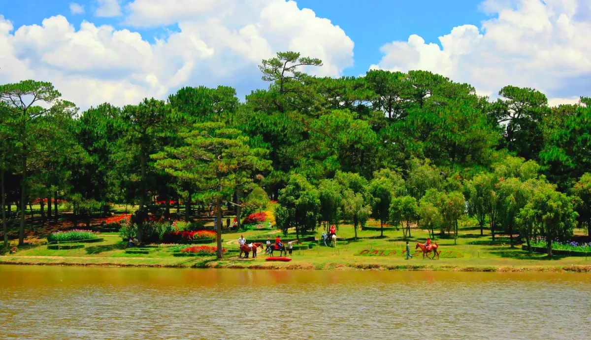 Đồi Thông Hai Mộ - Huyền Thoại Tình Yêu Giữa Lòng Đà Lạt Mộng Mơ