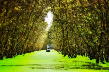 Tour du lịch Miền Tây 2N2Đ Châu Đốc - Cần Thơ - Miếu Bà - Rừng Tràm Trà Sư - KDL Mỹ Khánh