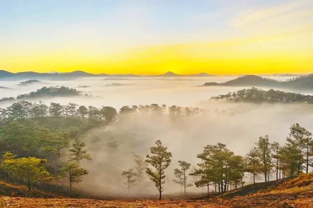Tour du lịch Đà Lạt tìm vào bên trọng 3N2Đ