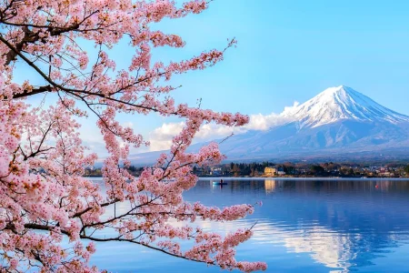 Tour hoa anh đào Nhật Bản Narita - Tokyo - Yokohama - Fuji - Nagoya - Kansai (Cung đường vàng)